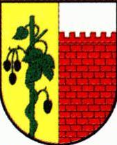 [Witnica Coat of Arms]