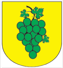[Zielona Góra Coat of Arms]