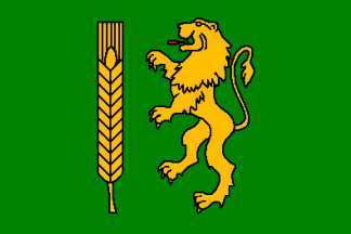 [Kutno county official flag]