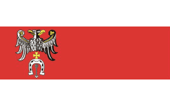 [Brzeziny County flag for officially administrative use]