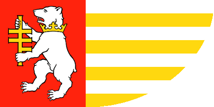 [Radzyń Podlaski county flag]