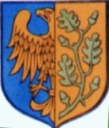 [Skoroszyce coat of arms]