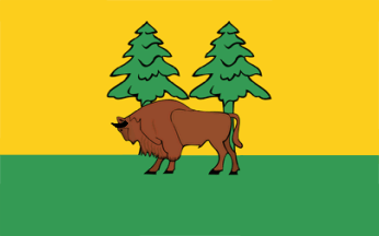 [Hajnówka county flag]