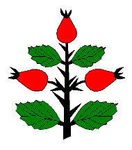[Rzgów coat of arms]