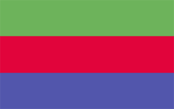 [Stawiszyn official flag]