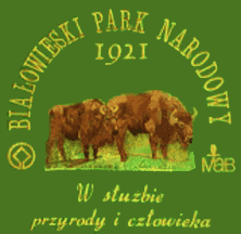 [Białowieski National Park]