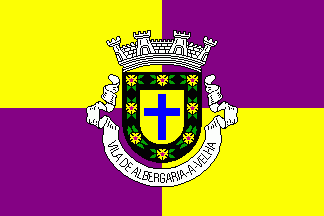 [Albergaria-a-Velha municipality (1961-2011)]