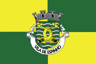 [Espinho(town) municipality]