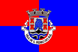 [São Pedro do Sul municipality]