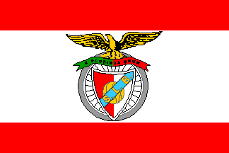 Variant Benfica flag