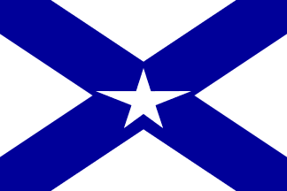Pinhos house flag