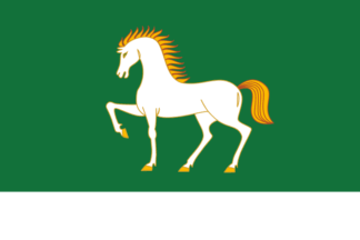 Flag of Abzelilovsky District