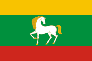 Flag of Baymaksky District