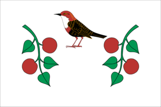 Flag of Birsky District