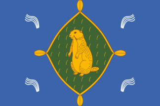 Flag of Bizhbulyaksky District 