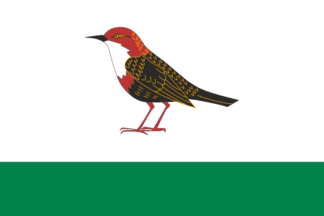 Flag of Birsk