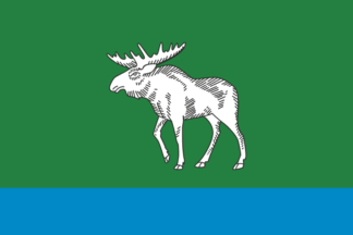 Flag of Fyodorovsky District 