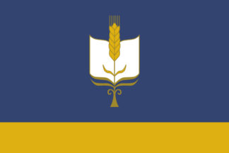 Flag of Sterlibashevsky District