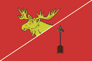 Gusev city flag