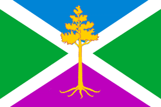Sosenskiy city flag