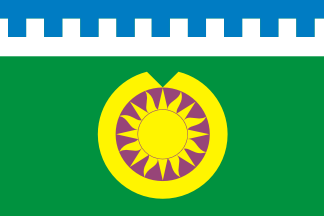 Bryedy co. flag