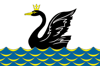Yemanzhyelinsk flag