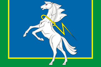 Pine co. flag