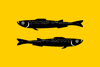 Pyeryeslavl’-Zalyesskiy flag