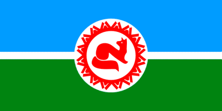 Pokachi city flag