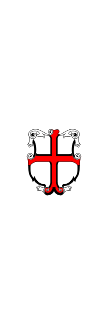 [Flag of Ptuj]