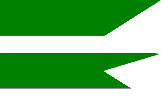 [Baskovce municipal flag]