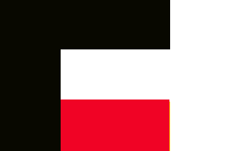 [Boschneger Party flag (?)]