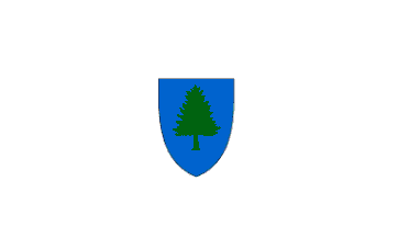 [Obverse of Massachusetts flag before 1971]