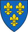 Royal Banner - France