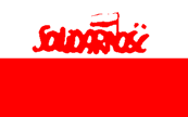 Solidarity supporter's flag