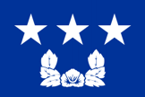 Flag rank example