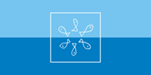 Adriatic Euroregion flag