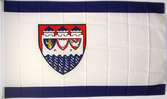Bild von Fahne des Landkreis Steinburg-Fahne Fahne des Landkreis Steinburg-Flagge im Fahnenshop bestellen