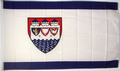 Fahne des Landkreis Steinburg (150 x 90 cm) kaufen