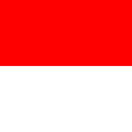 Flagge des Kanton Solothurn kaufen