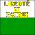 Bild der Flagge "Flagge des Kanton Waadt"