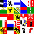 Set mit den Flaggen aller 26 Schweizer Kantone (90 x 90 cm) kaufen