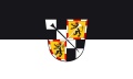 Bild der Flagge "Fahne von Bayreuth (150 x 90 cm) Premium"
