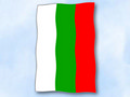 Flagge Bulgarien
 im Hochformat (Glanzpolyester) kaufen bestellen Shop