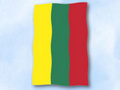 Flagge Litauen im Hochformat (Glanzpolyester) kaufen