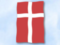 Bild der Flagge "Flagge Dänemark im Hochformat (Glanzpolyester)"