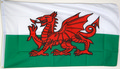 Bild der Flagge "Nationalflagge Wales (90 x 60 cm)"