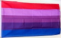 Flagge Transgender (LGBTQ Pride) (150 x 90 cm) kaufen