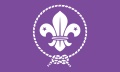Flagge Pfadfinder / Scouts (150 x 90 cm) Premium kaufen