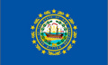 Flagge USA - Bundesstaat New Hampshire (150 x 90 cm) kaufen